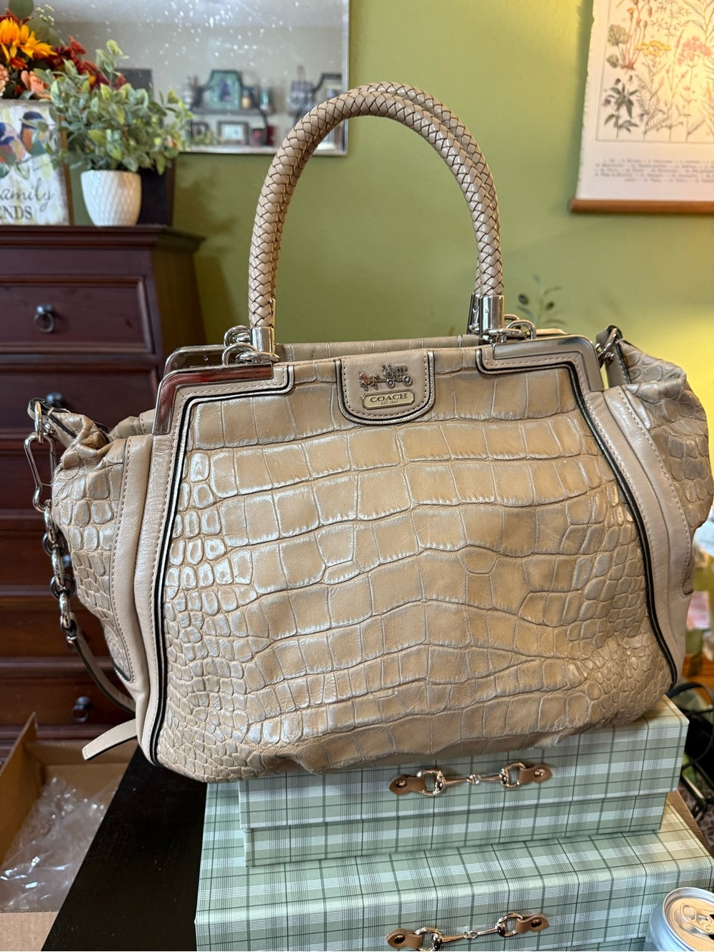 Coach Croc-Embossed Leather Satchel in Light Beige with Braided Top Handle and